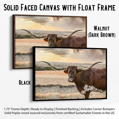 Longhorn Western Wall Art Canvas Canvas-Black Frame / 12 x 18 Inches Wall Art Teri James Photography