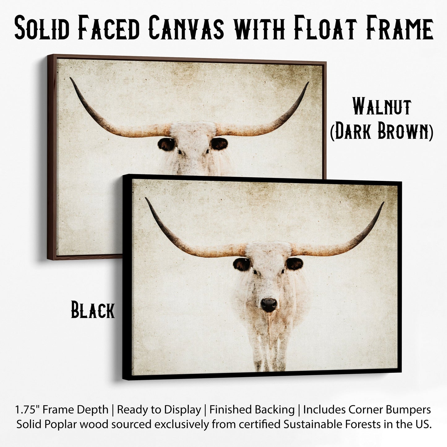 Modern Farmhouse Texas Longhorn Canvas Canvas-Black Frame / 12 x 18 Inches Wall Art Teri James Photography