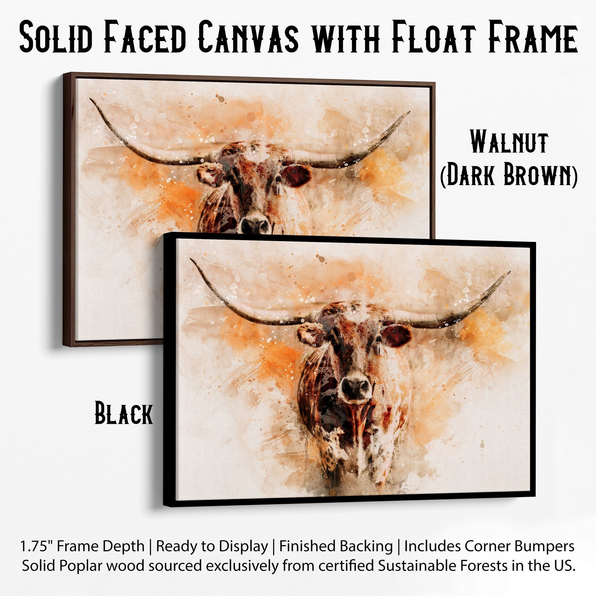 Modern Western Longhorn Art Watercolor Painting Canvas-Black Frame / 12 x 18 Inches Wall Art Teri James Photography