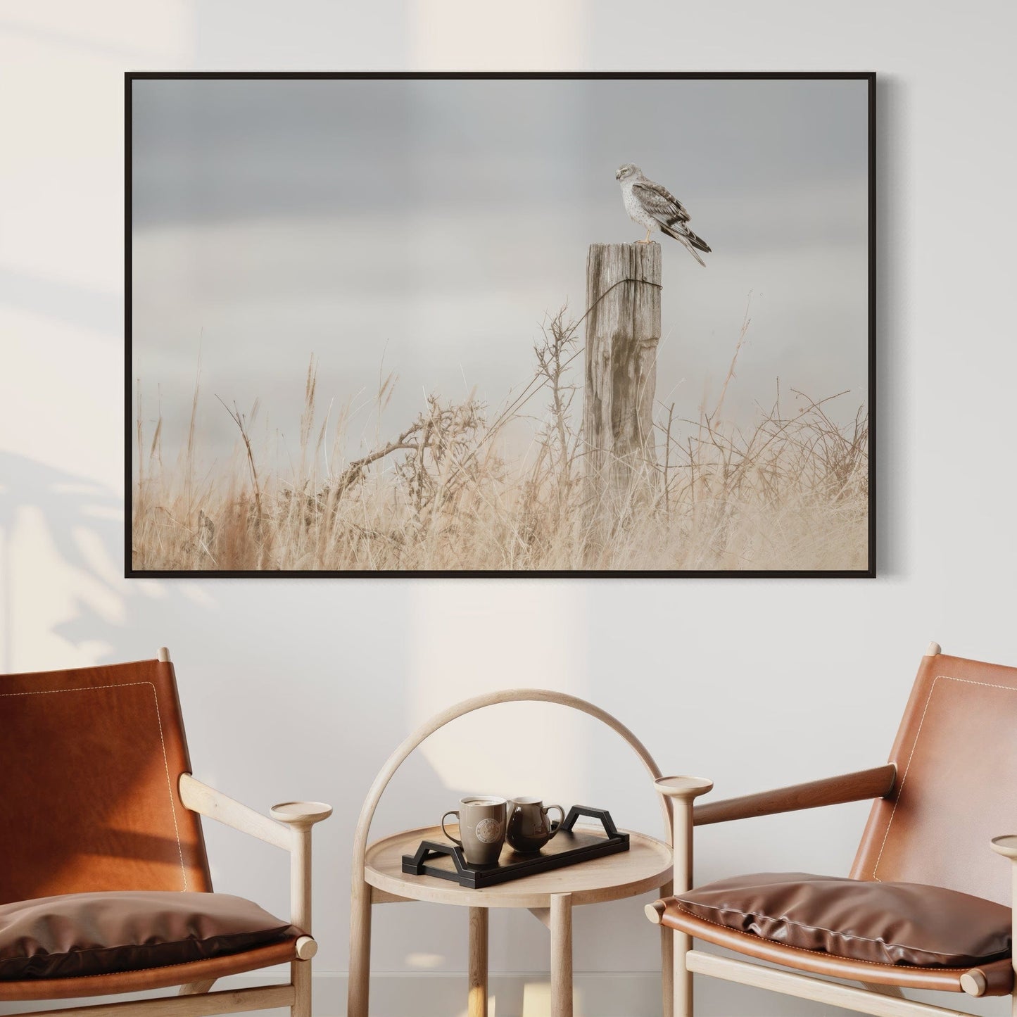 Northern Harrier Hawk Print Wall Art Teri James Photography