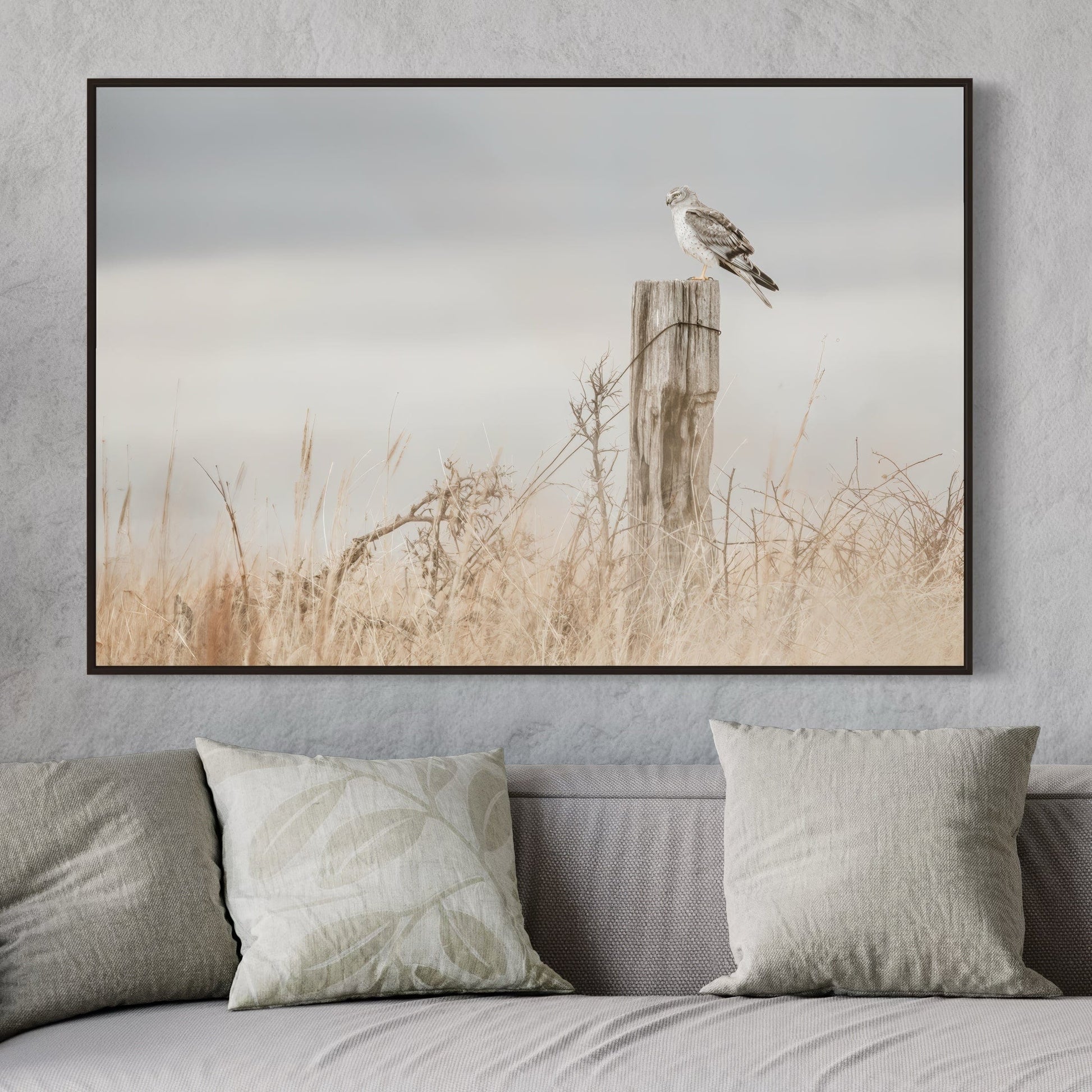 Northern Harrier Hawk Print Wall Art Teri James Photography