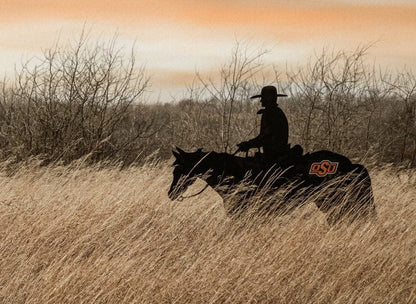 Oklahoma State University Wall Art - Cowboy, Horse and Longhorn Wall Art Teri James Photography