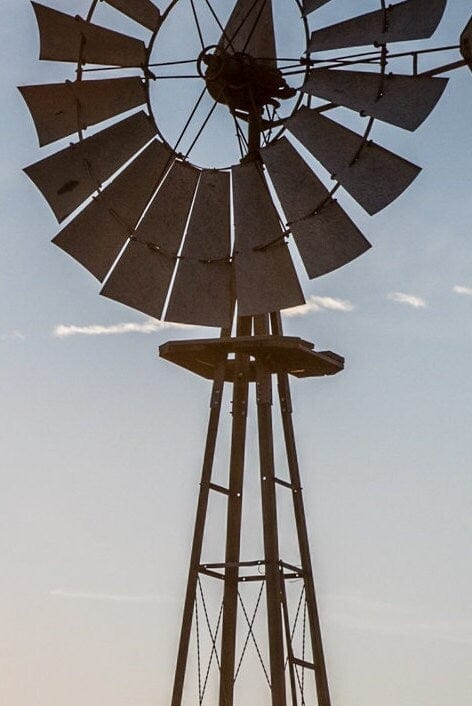 Old Windmill and Black Angus Cattle Wall Art Teri James Photography