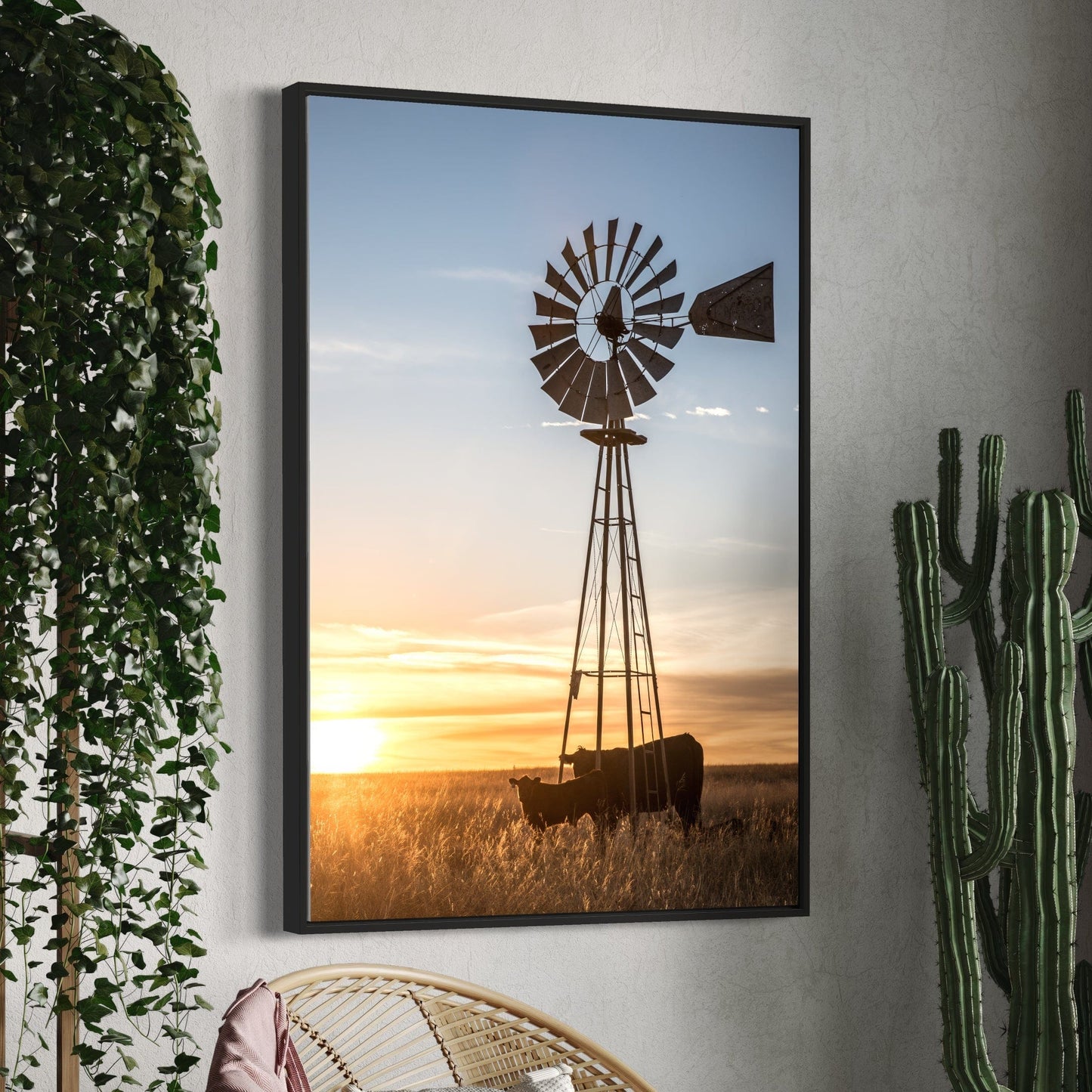 Old Windmill and Black Angus Cattle Wall Art Teri James Photography