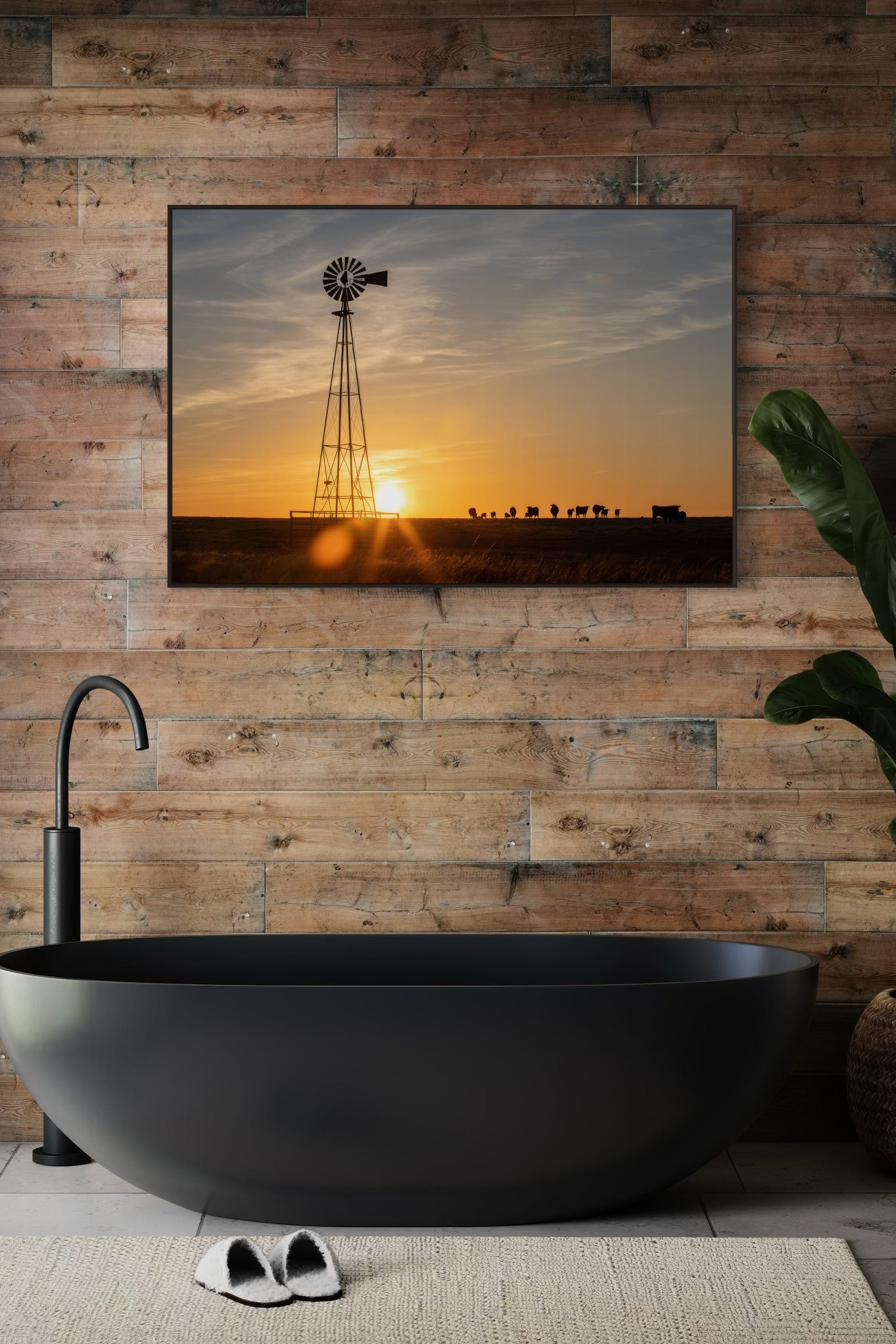 Old Windmill at Sunset with Angus Cattle Wall Art Teri James Photography