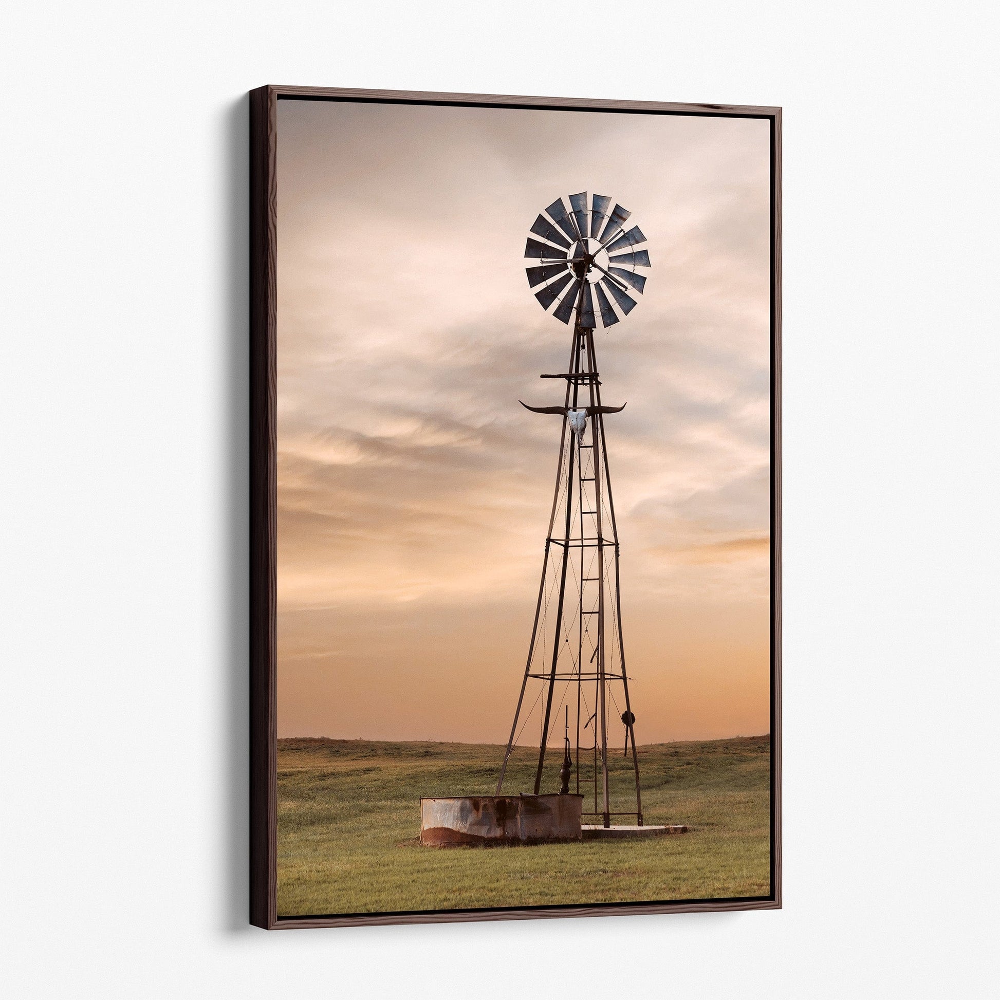 Old Windmill with Longhorn Skull and Horns Canvas-Walnut Frame / 12 x 18 Inches Wall Art Teri James Photography