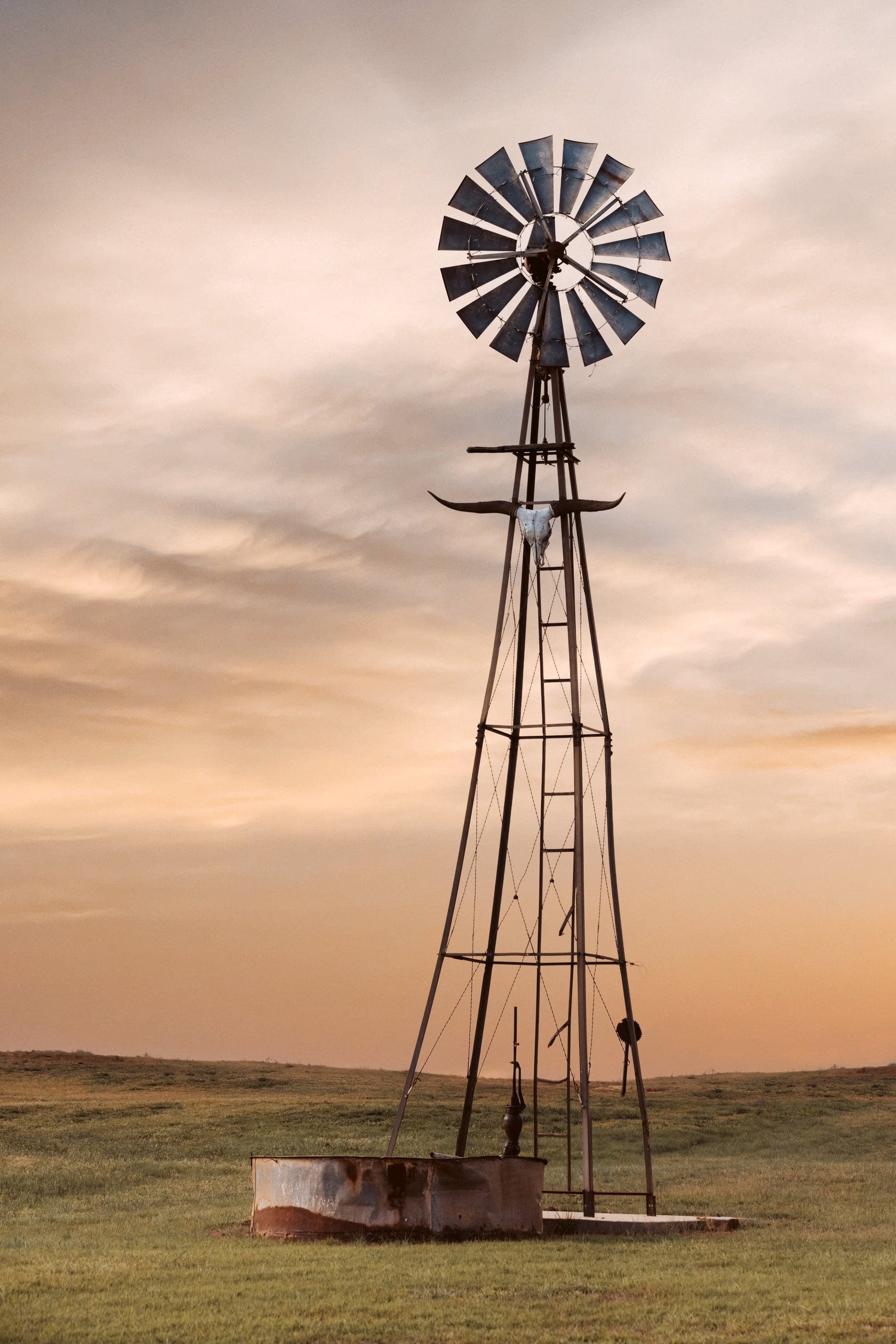 Old Windmill with Longhorn Skull and Horns Paper Photo Print / 12 x 18 Inches Wall Art Teri James Photography