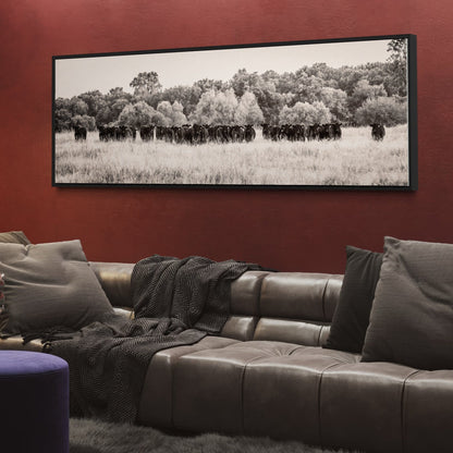 Panoramic Angus Cattle Canvas Wall Art Teri James Photography