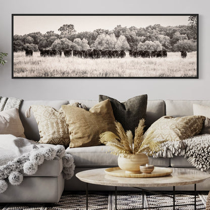 Panoramic Angus Cattle Canvas Wall Art Teri James Photography