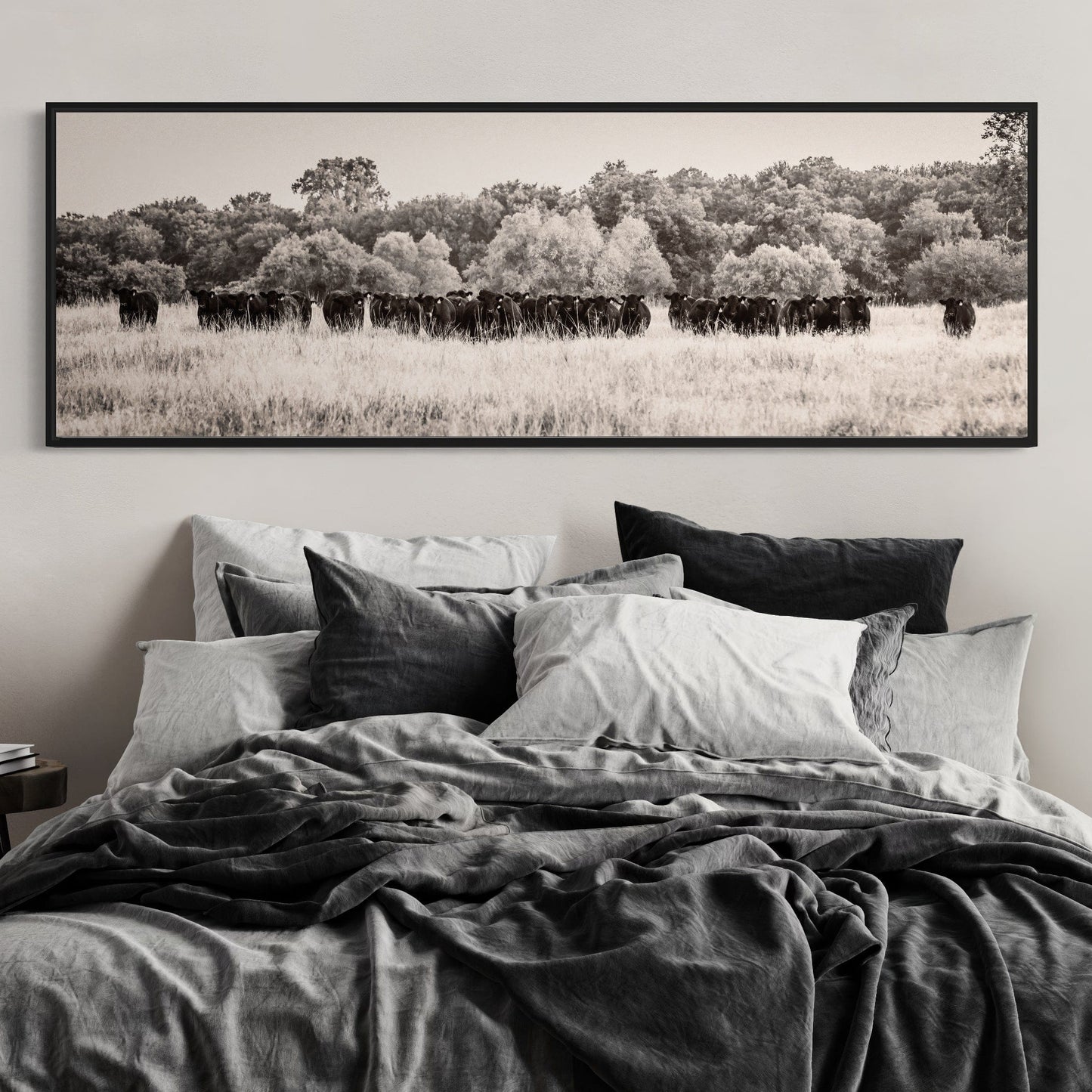 Panoramic Angus Cattle Canvas Wall Art Teri James Photography