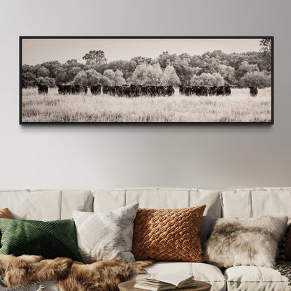 Panoramic Angus Cattle Canvas Wall Art Teri James Photography