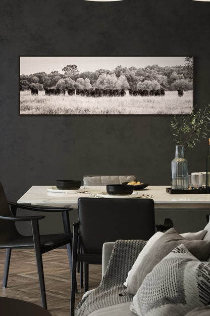 Panoramic Angus Cattle Canvas Wall Art Teri James Photography