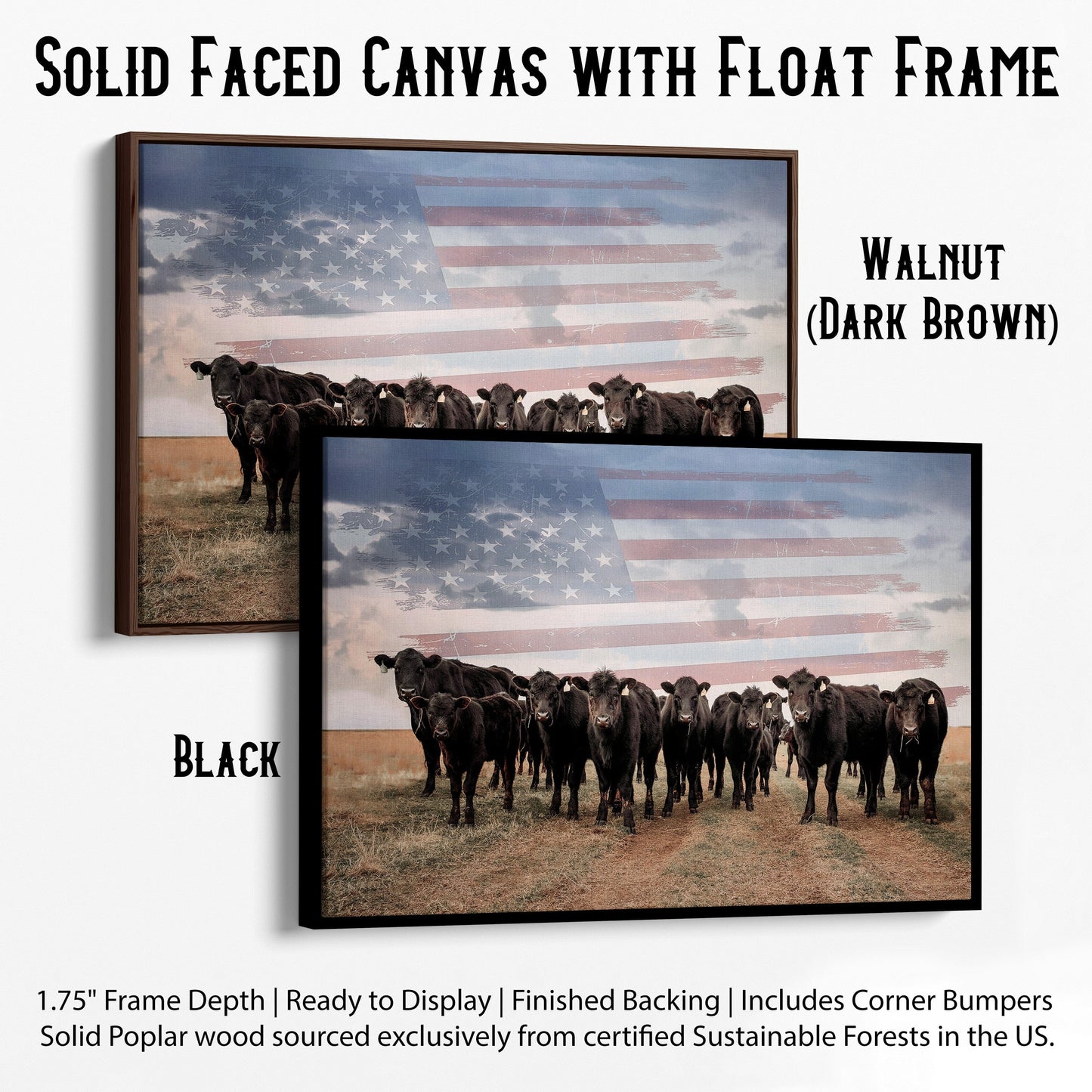 Patriotic Black Angus Cattle with American Flag Canvas-Black Frame / 12 x 18 Inches Wall Art Teri James Photography