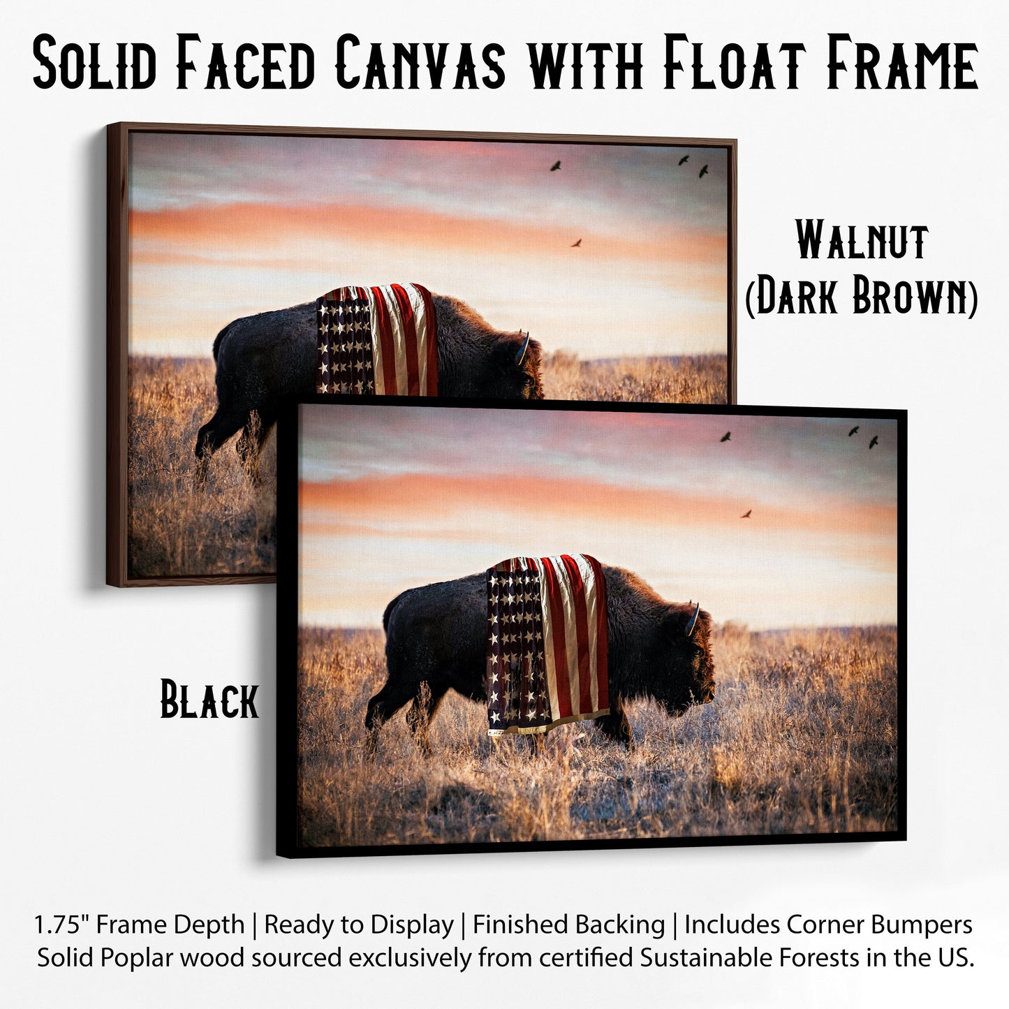 Patriotic Canvas Wall Decor - American Bison Canvas-Black Frame / 12 x 18 Inches Wall Art Teri James Photography