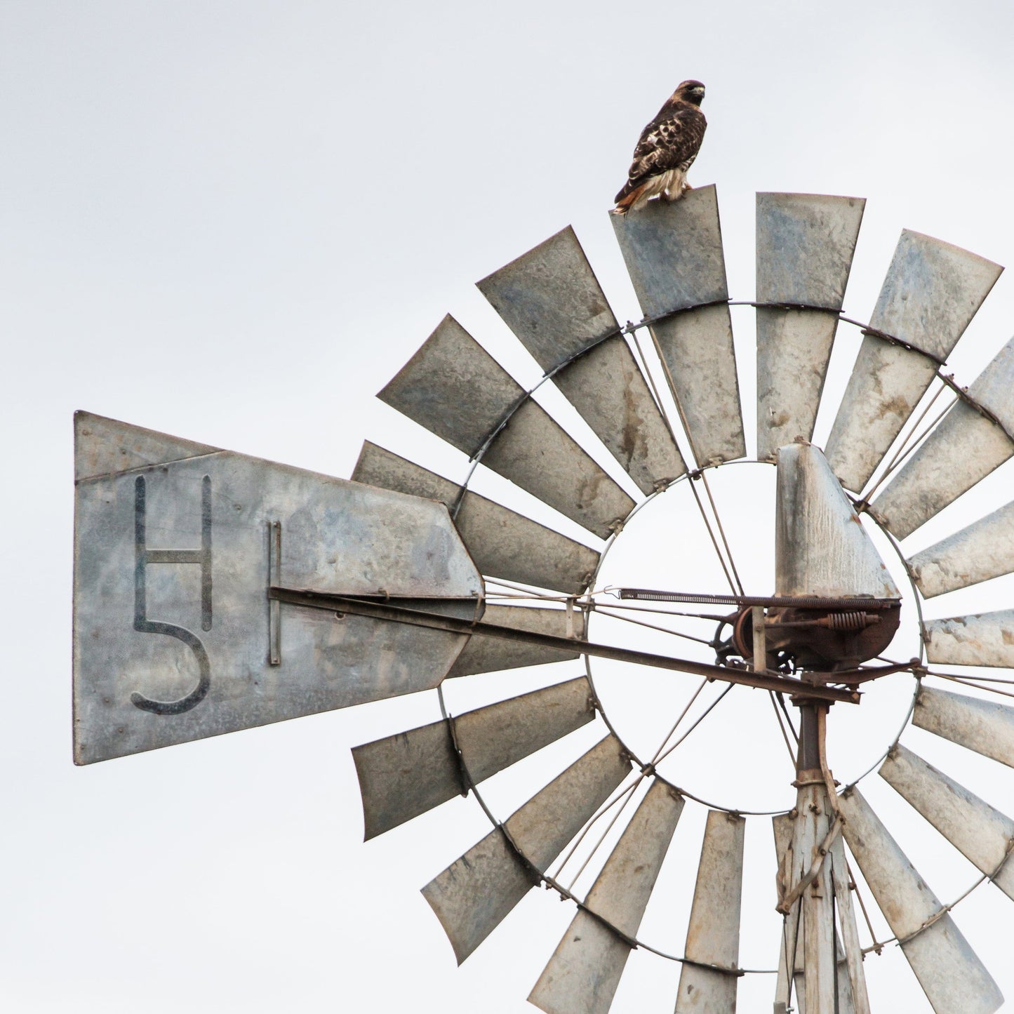 Personalized Cattle Brand Art - Windmill With Your Livestock Brand Paper Photo Print / 16 x 16 Inches Wall Art Teri James Photography