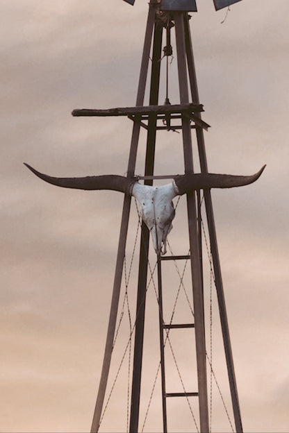 Old Windmill with Longhorn Skull and Horns