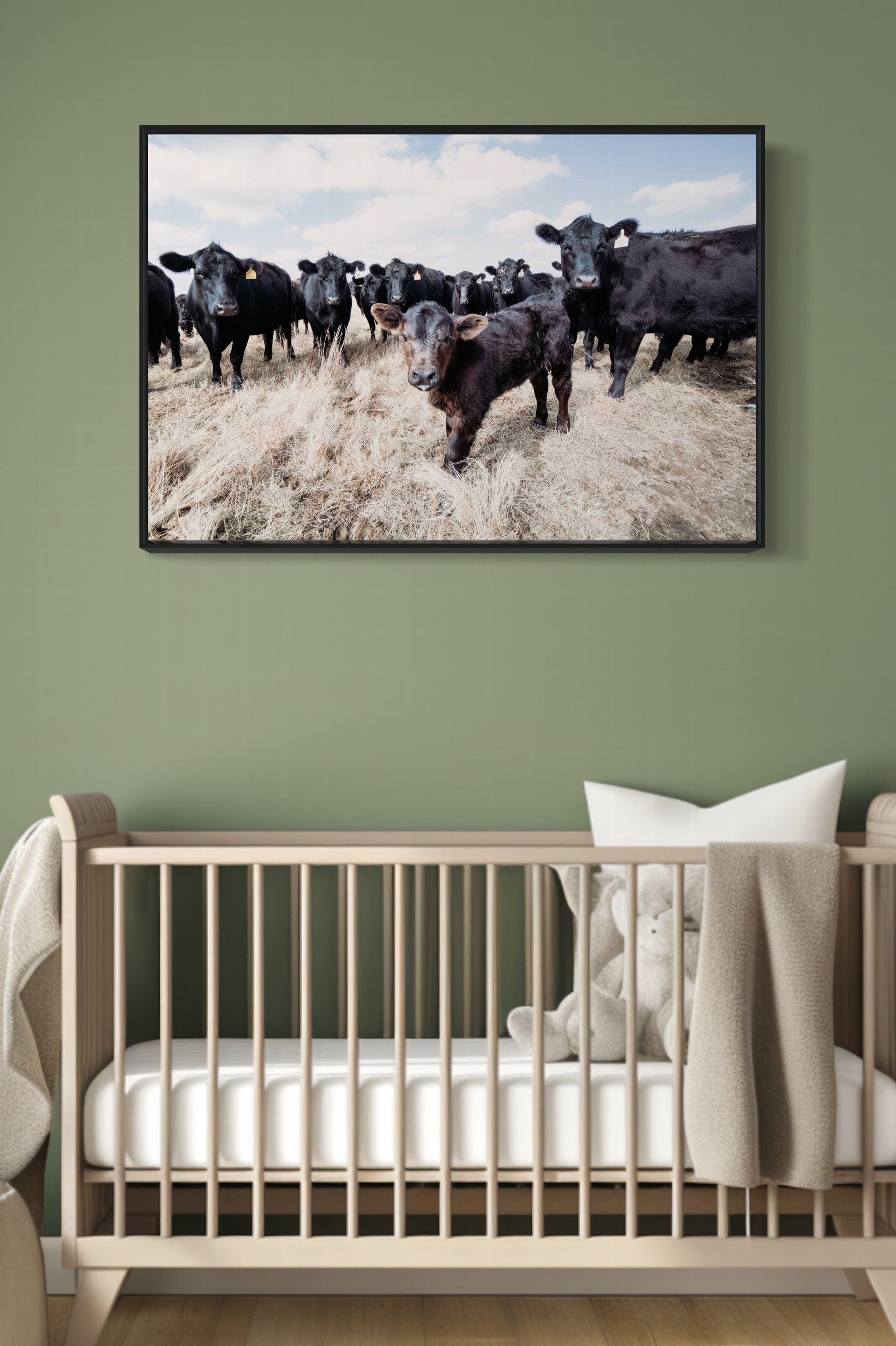 Ranch Style Decor Wall Art - Black Angus Cattle Wall Art Teri James Photography