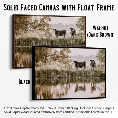 Ranch Style Wall Decor - Angus Cattle Canvas-Black Frame / 12 x 18 Inches Wall Art Teri James Photography