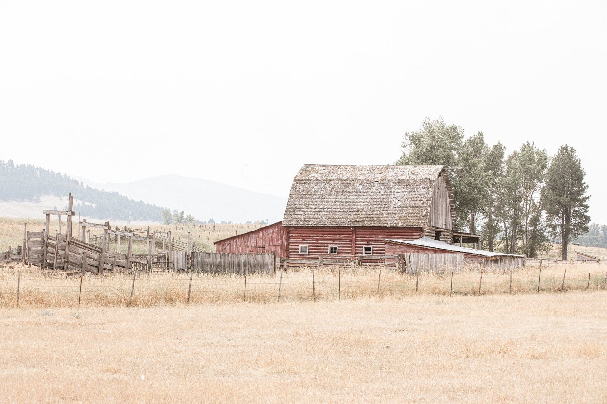 Rustic Dining Room Decor - Old Red Barn Paper Photo Print / 12 x 18 Inches Wall Art Teri James Photography