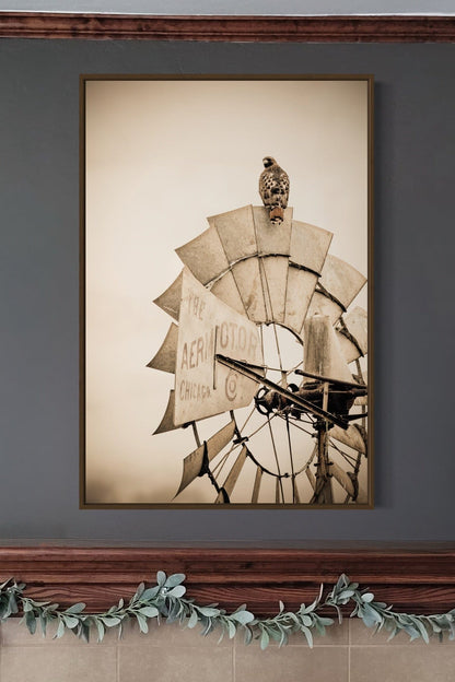 Rustic Farmhouse Wall Decor - Old Windmill and Hawk Wall Art Teri James Photography