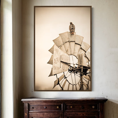 Rustic Farmhouse Wall Decor - Old Windmill and Hawk Wall Art Teri James Photography