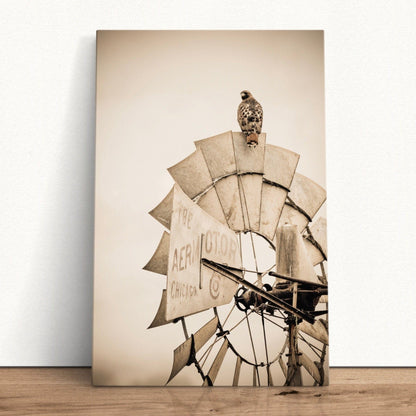 Rustic Farmhouse Wall Decor - Old Windmill and Hawk Canvas-Unframed / 12 x 18 Inches Wall Art Teri James Photography