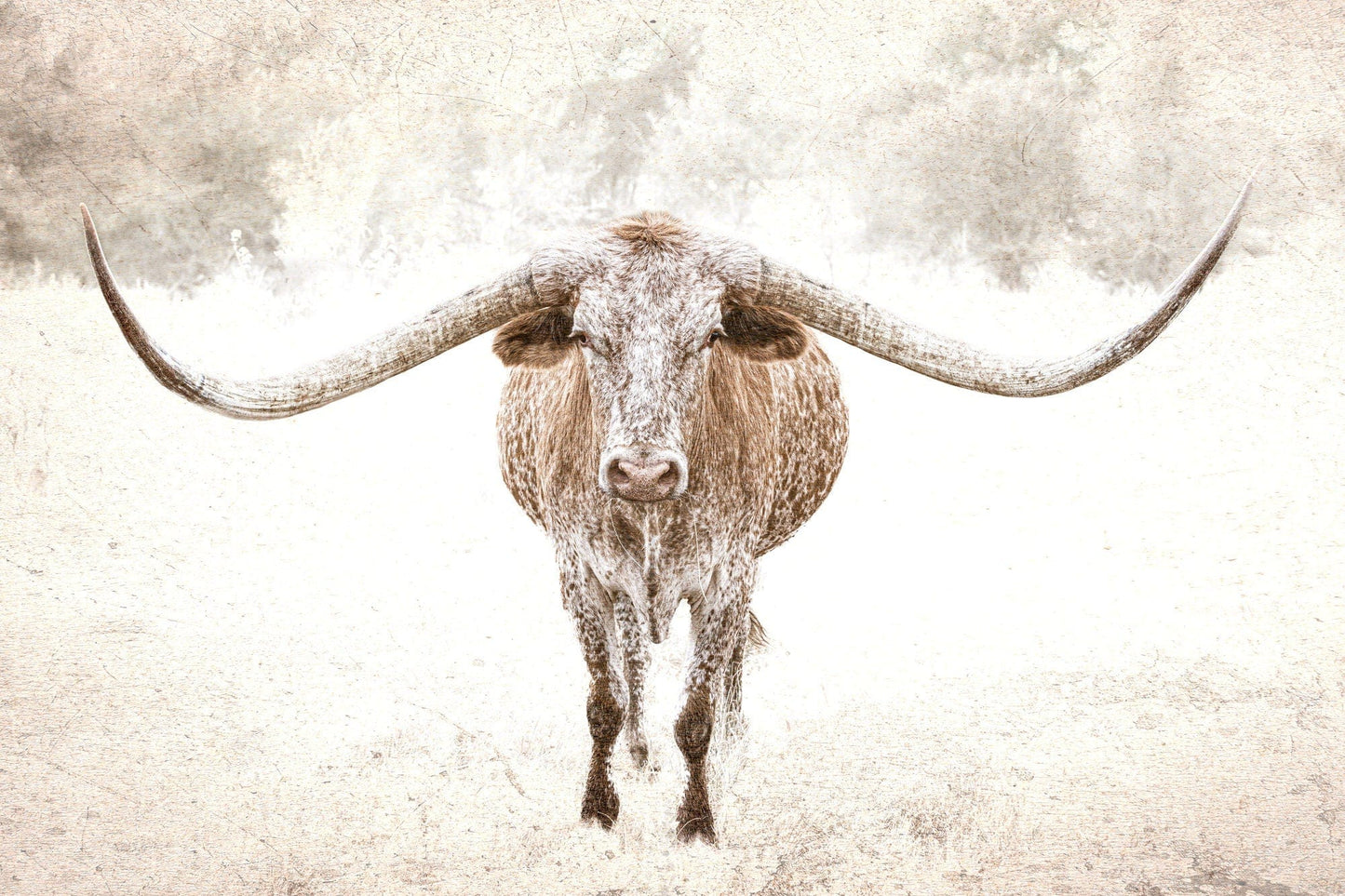 Sepia Longhorn Canvas Art Paper Photo Print / 12 x 18 Inches Wall Art Teri James Photography