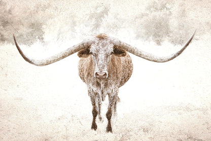 Sepia Longhorn Canvas Art Paper Photo Print / 12 x 18 Inches Wall Art Teri James Photography