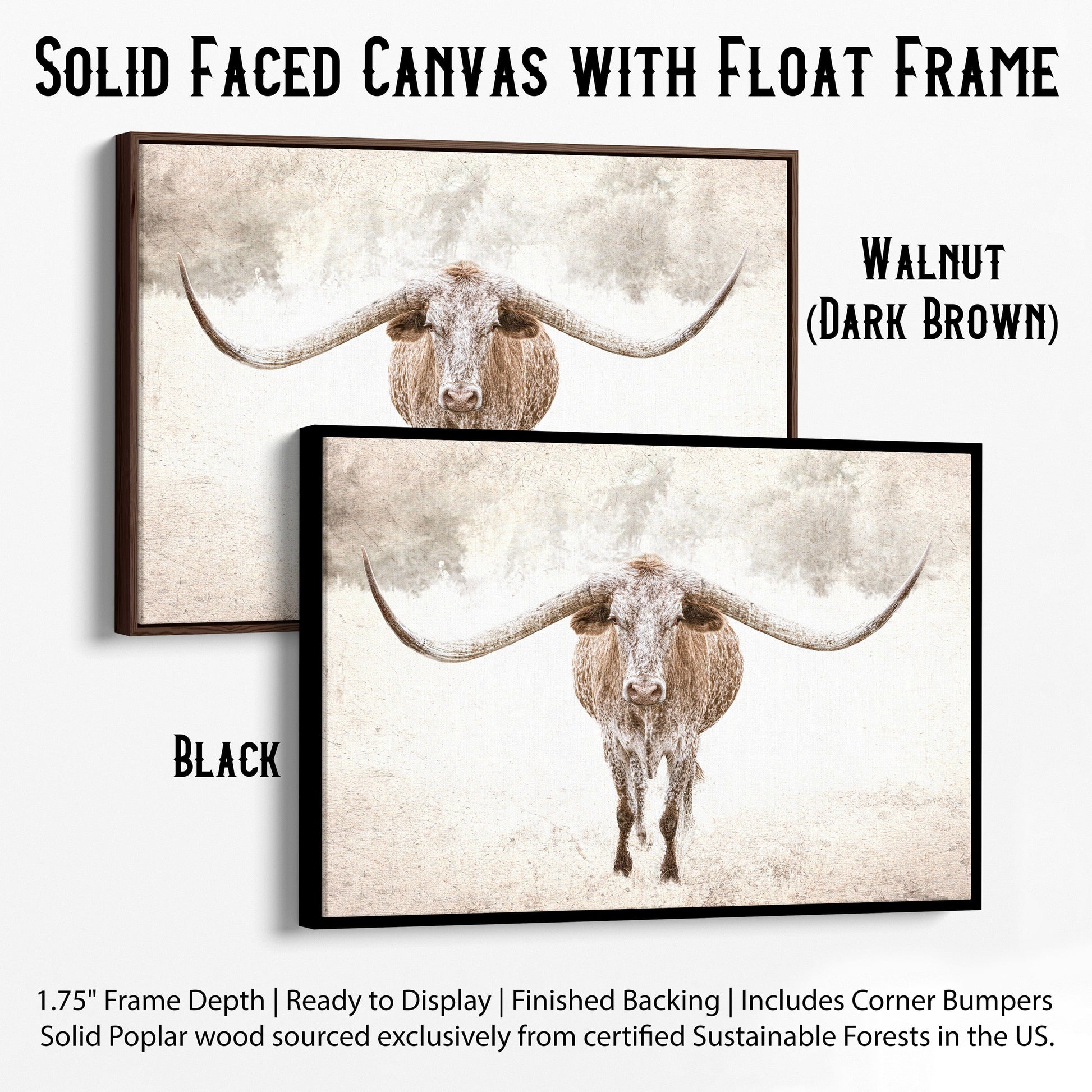 Sepia Longhorn Canvas Art Canvas-Black Frame / 12 x 18 Inches Wall Art Teri James Photography