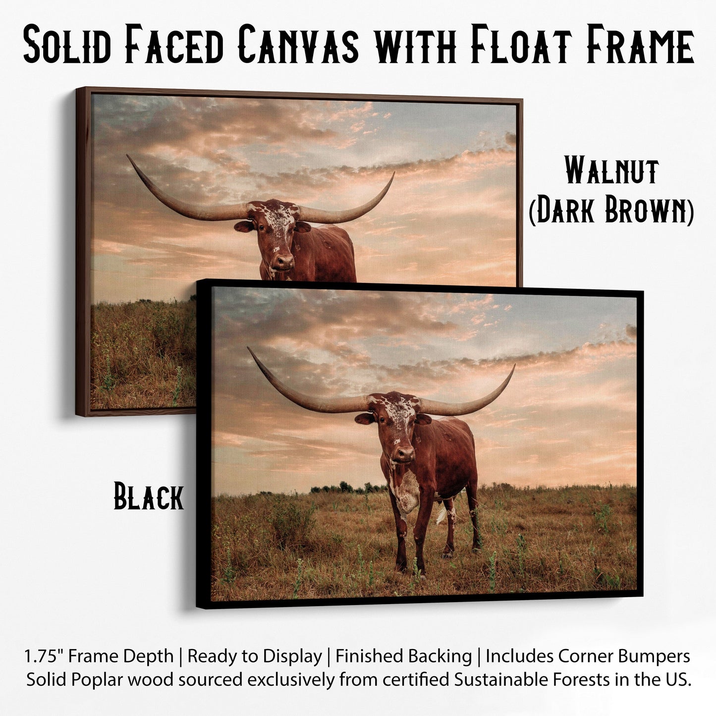 Southwest Style Longhorn Art Canvas-Black Frame / 12 x 18 Inches Wall Art Teri James Photography