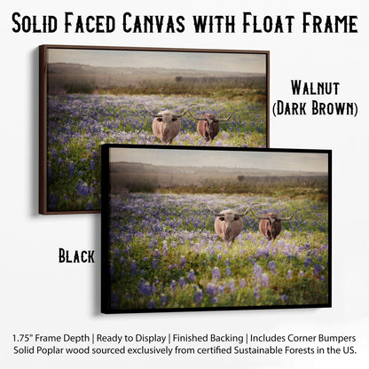 Texas Bluebonnets and Longhorn Cattle Canvas-Black Frame / 12 x 18 Inches Wall Art Teri James Photography