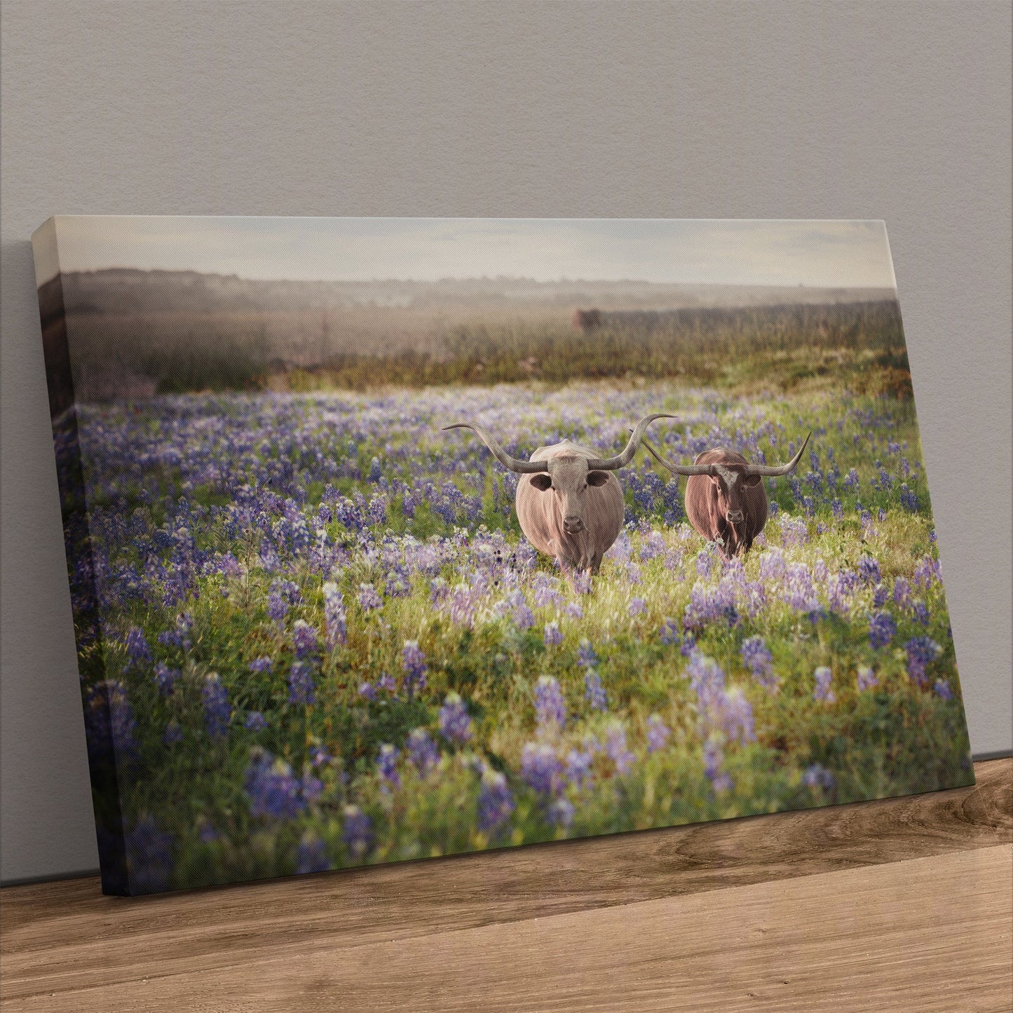 Texas Bluebonnets and Longhorn Cattle Canvas-Unframed / 12 x 18 Inches Wall Art Teri James Photography