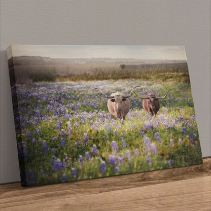 Texas Bluebonnets and Longhorn Cattle Canvas-Unframed / 12 x 18 Inches Wall Art Teri James Photography