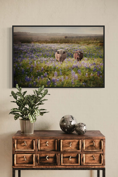 Texas Bluebonnets and Longhorn Cattle Wall Art Teri James Photography