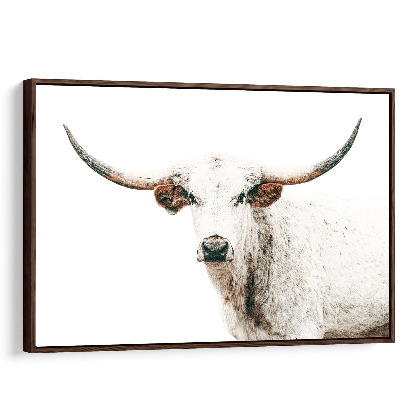 Texas Longhorn Art in Farmhouse Colors Canvas-Walnut Frame / 12 x 18 Inches Wall Art Teri James Photography