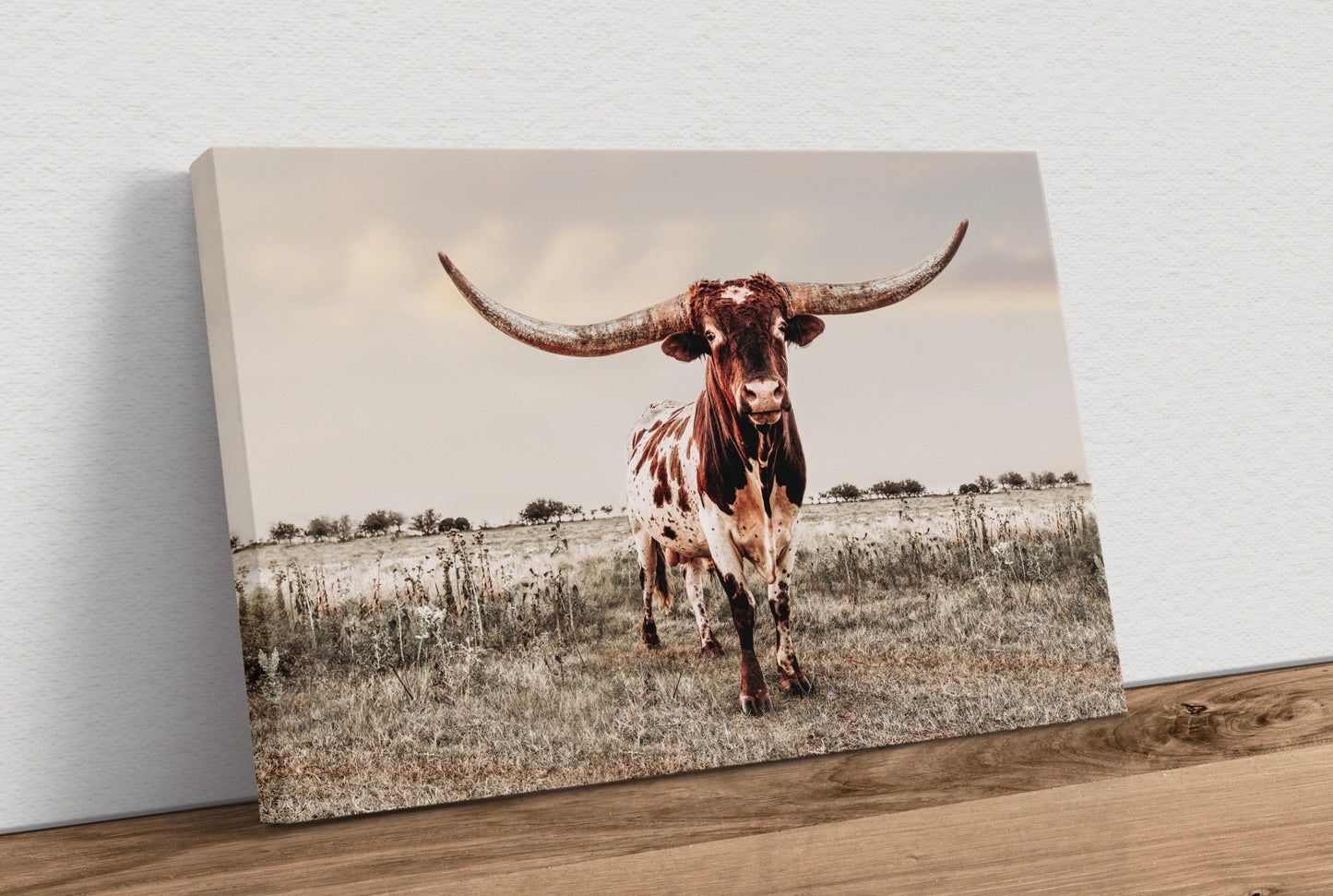 Texas Longhorn Bull Canvas Print - Texas Style Wall Decor Canvas-Unframed / 12 x 18 Inches Wall Art Teri James Photography