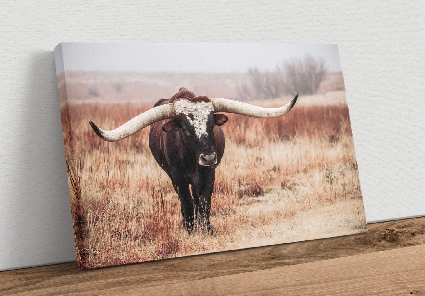 Texas Longhorn Bull Canvas Print Canvas-Unframed / 12 x 18 Inches Wall Art Teri James Photography