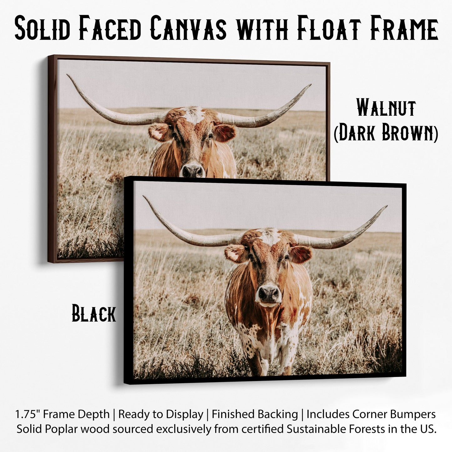 Texas Longhorn Canvas Wall Art Canvas-Black Frame / 12 x 18 Inches Wall Art Teri James Photography