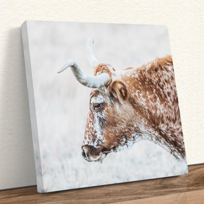 Texas Longhorn Cattle Art in Sepia Colors Canvas-Unframed / 16 x 16 Inches Wall Art Teri James Photography