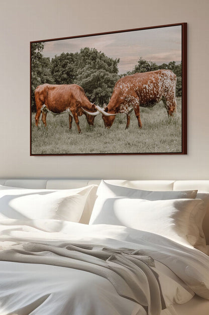 Texas Longhorn Cattle Wall Art in Muted Colors Wall Art Teri James Photography