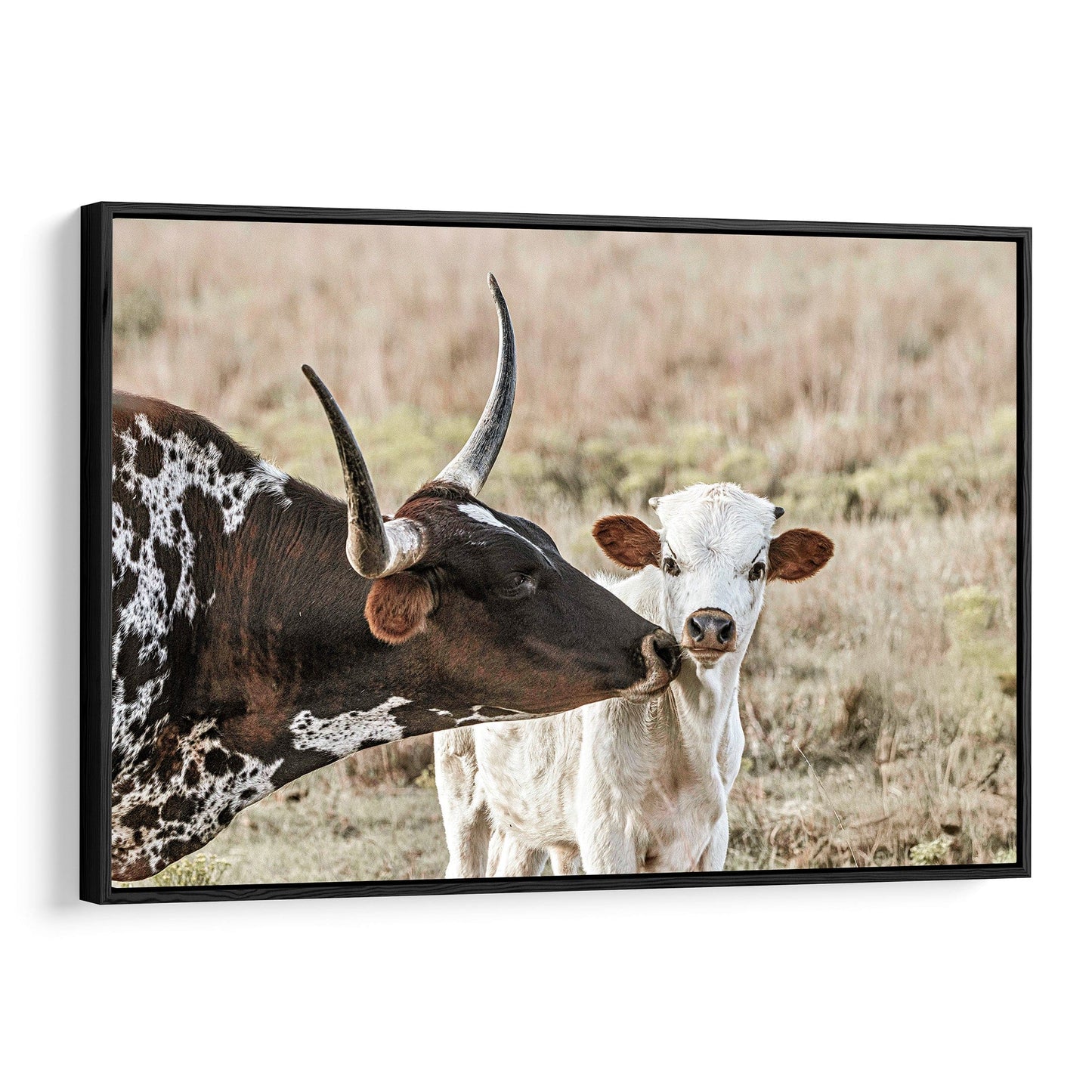 Texas Longhorn Cow and Calf Nursery Artwork Canvas-Black Frame / 12 x 18 Inches Wall Art Teri James Photography