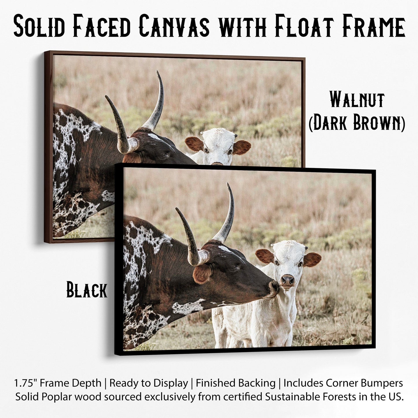 Texas Longhorn Cow and Calf Nursery Artwork Wall Art Teri James Photography