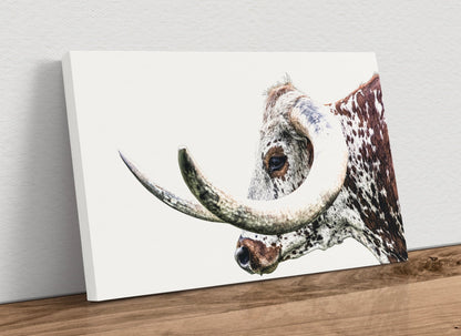 Texas Longhorn Extreme Closeup Canvas Canvas-Unframed / 12 x 18 Inches Wall Art Teri James Photography