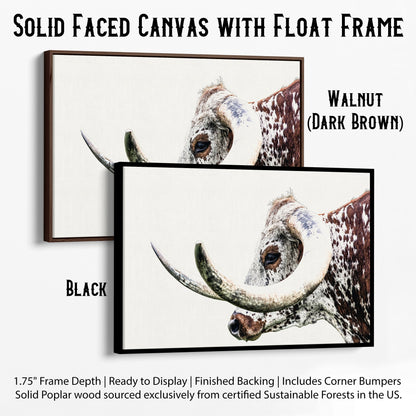 Texas Longhorn Extreme Closeup Canvas Canvas-Black Frame / 12 x 18 Inches Wall Art Teri James Photography