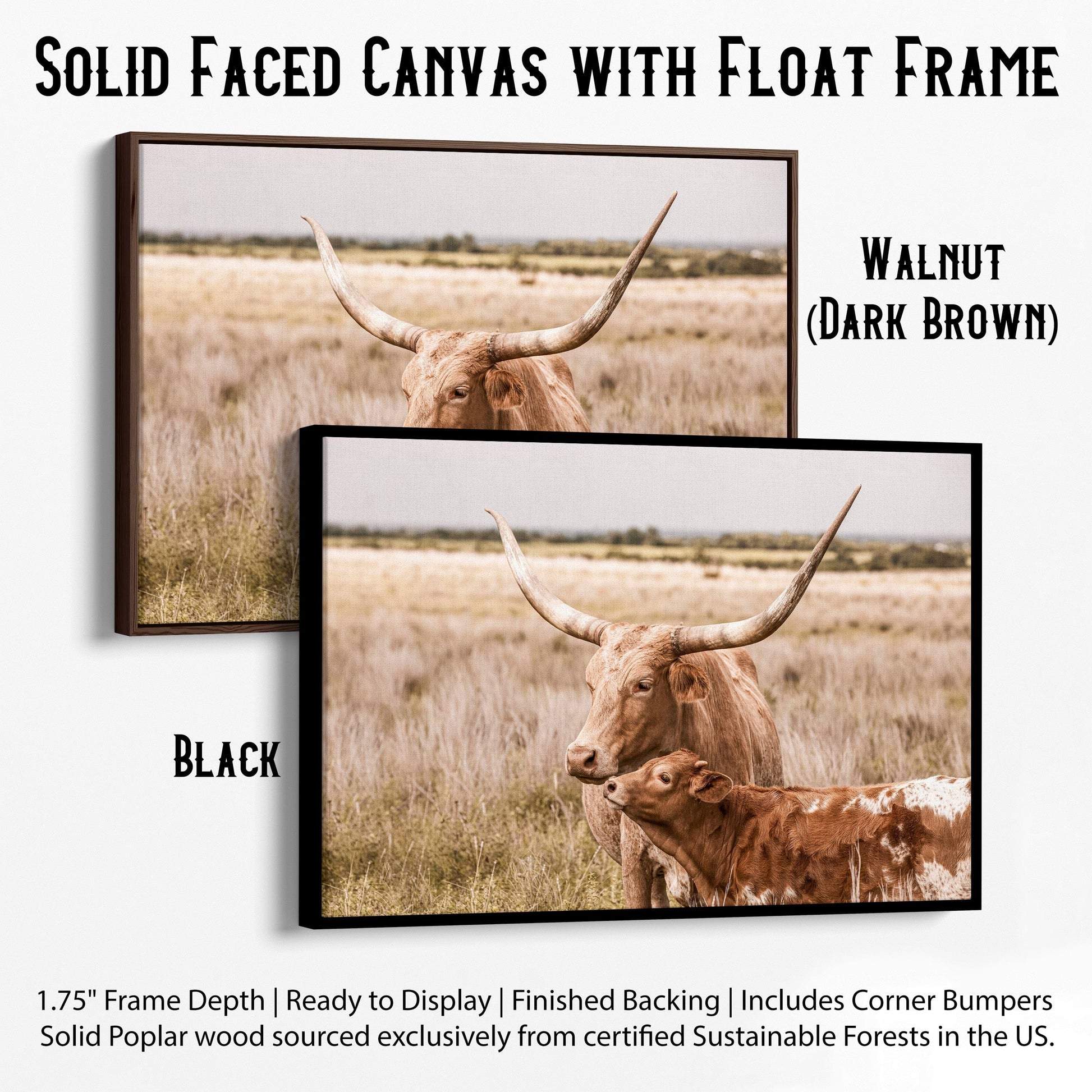 Texas Longhorn Nursery Decor Canvas-Black Frame / 12 x 18 Inches Wall Art Teri James Photography