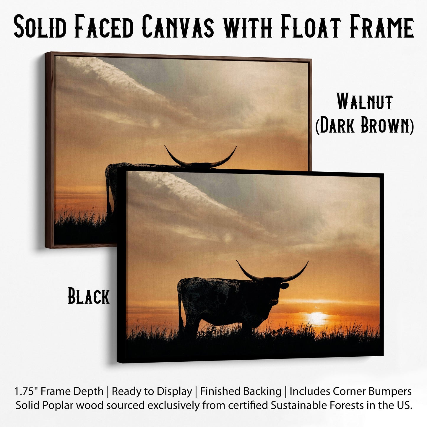 Texas Longhorn Sunset Canvas Print Canvas-Black Frame / 12 x 18 Inches Wall Art Teri James Photography