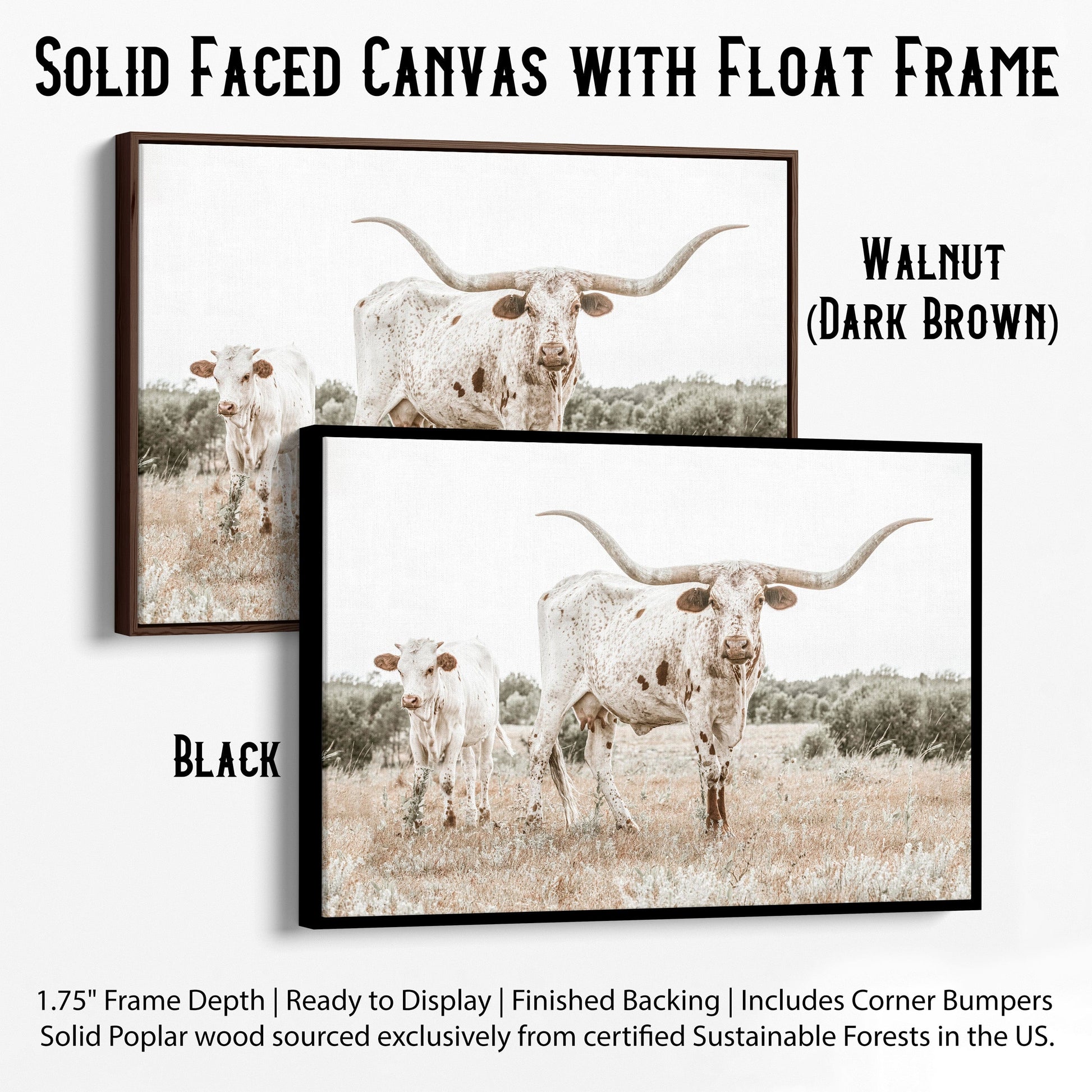 Texas Nursery Wall Art - Longhorn Cow & Calf Canvas-Black Frame / 12 x 18 Inches Wall Art Teri James Photography