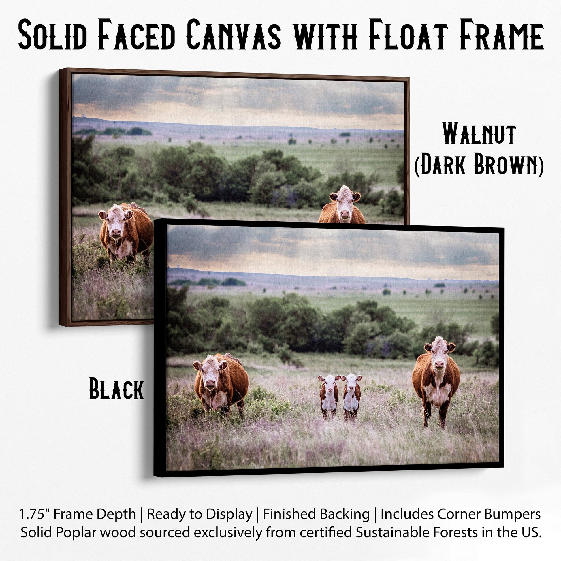 Twin Nursery Decor - Hereford Cattle Canvas-Black Frame / 12 x 18 Inches Wall Art Teri James Photography