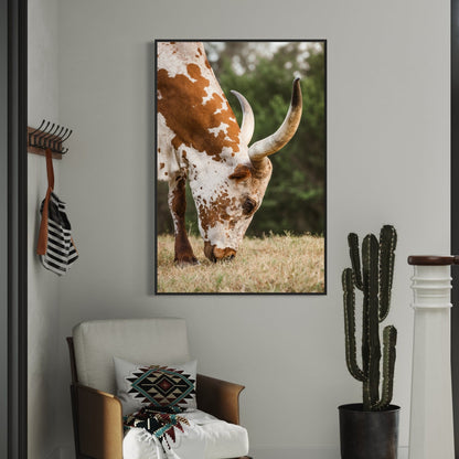 Vertical Longhorn Canvas Print Wall Art Teri James Photography