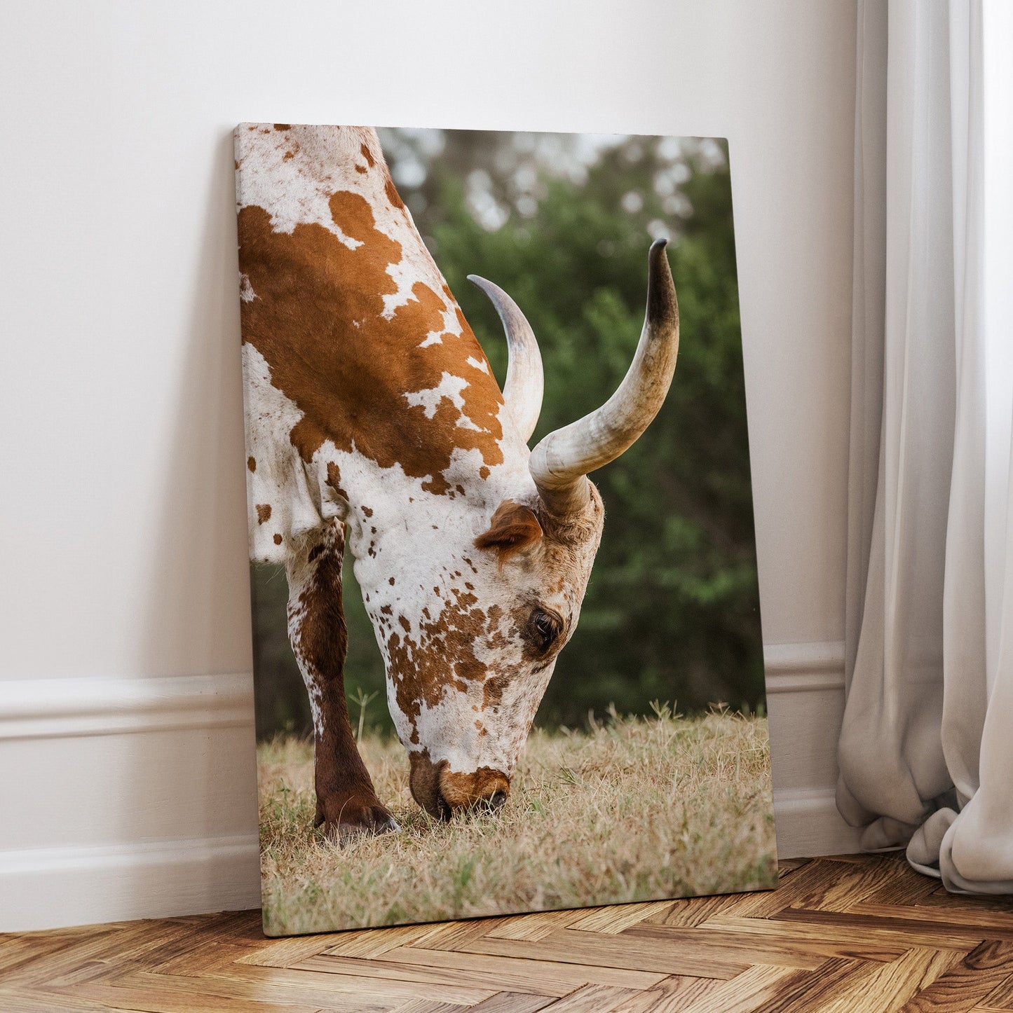 Vertical Longhorn Canvas Print Canvas-Unframed / 12 x 18 Inches Wall Art Teri James Photography